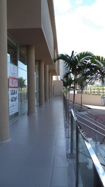 Imagem da Galeria